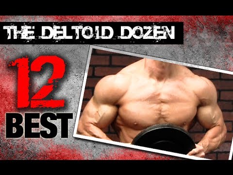 12 Best Shoulder Exercises (THE DELTOID DOZEN!!) - UCe0TLA0EsQbE-MjuHXevj2A