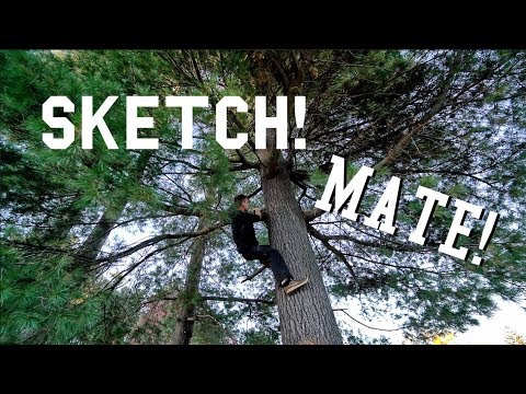 Sketchiest Drone Tree Recovery Ever - UCQEqPV0AwJ6mQYLmSO0rcNA