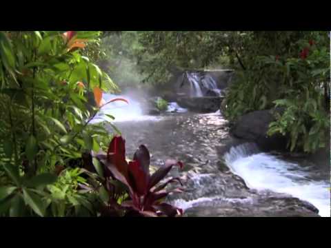 Discover Costa Rica - UCXnIQrzOwgddYqQ3pyf0AnQ