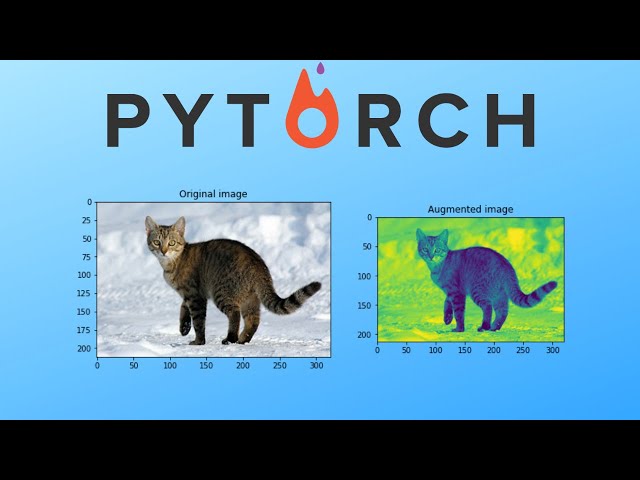 Data Augmentation in Pytorch: An Example