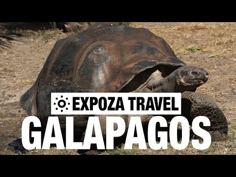 Galapagos Vacation Travel Video Guide - UC3o_gaqvLoPSRVMc2GmkDrg