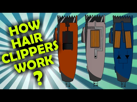 How Rotary, Magnetic and Pivot Hair Clipper Motors work? - UCtSlz-wc-0EKkkf8vqPeKhw