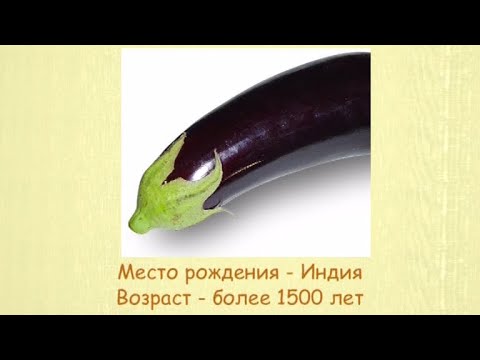 Кулинарная энциклопедия - Баклажаны - UC7XBjhXnmmXFsxmnys9PmDQ