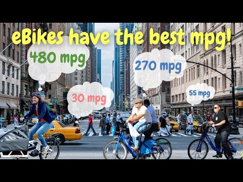eBiking is more efficient than walking, biking and driving!