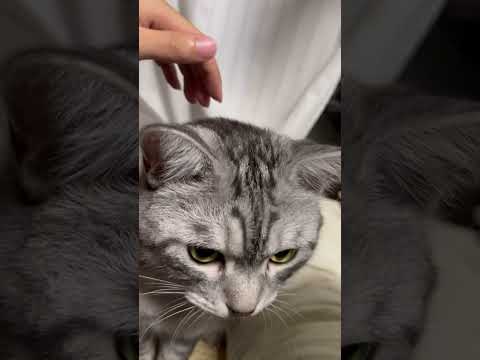 下から撮ると大体ブスでも上から撮れば角度詐欺🎵#角度詐欺#音源お借りしました