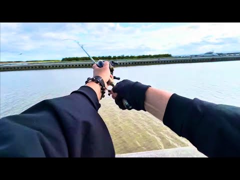 【宮城釣り】デカメのあのお魚さんがやっと釣れ始めましたよー！！