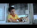 MV เพลง หมาหลงบนทางด่วน - ดำ ก้องภพ