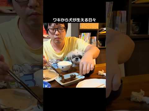 ワキから犬。