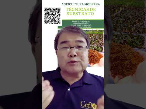 Por que os substratos somem dos vasos com o tempo? #robertotakane #livrosubstratotecnico
