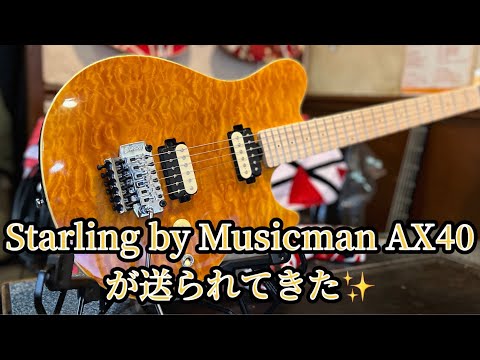 【VAN HALENの音】Starling by Musicman AX40とKEMPERでエディサウンドを手に入れた✨全てを公開&解説！
