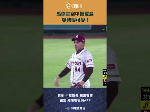 #CPBL 馬傑森空中抓飛鳥 姿勢很可愛 ! #馬傑森 #中信兄弟 #樂天桃猿 #中華職棒 #shorts