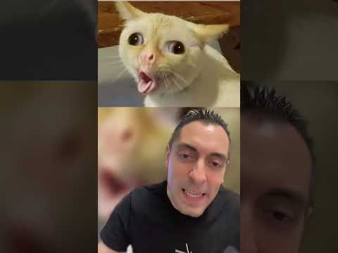 QUANDO RICEVI UN MESSAGGIO DI WHATSAPP COME QUESTI NON SAI SE RIDERE O PIANGERE ! MESSAGGI CHE...