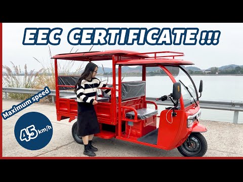 Minghong Electric Auto Rickshaw Gemini D | Tuk Tuk EEC Certificate