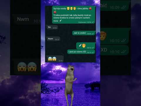 Kiedy logika spotyka mema #shorts #memy #chat #śmieszne