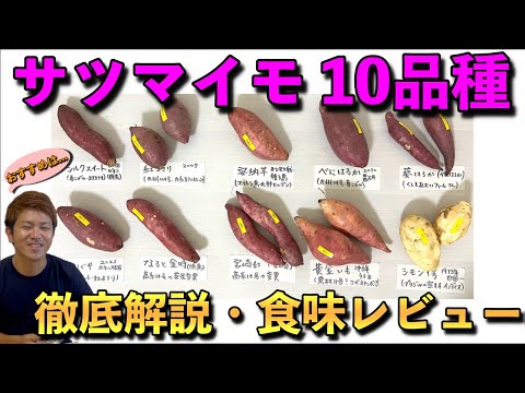 【買う前に見て!!】サツマイモ10品種の徹底解説・食べ比べ食味レビュー！！おすすめの品種は．．．．