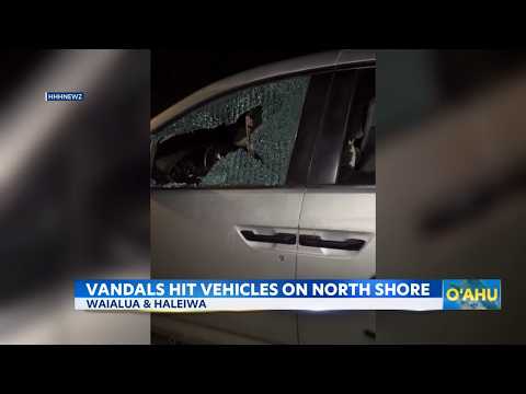 Recent vandalism worries <strong>North</strong> Shore residents