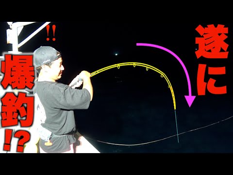 遂に来ました!!真夏の夜の爆釣劇!!【イカメタル】