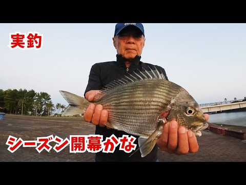 5月下旬の宮崎港でフカセ釣り(チヌ、ヘダイ、シーバス)