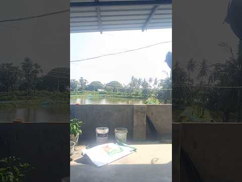 Mera fast video 📷📸#shotsvideo #train #railtrack #railway #indepdenceday #sajaungalutkarbhitida