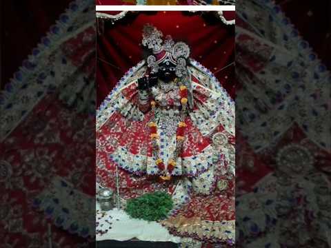 बोलो वृंदावन श्री बांकेबिहारी लाल की जय 🙏🏼🪔#bankebihari #virdavan #treanding #ytshaorts