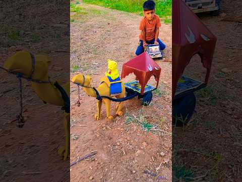 ऊंट का डांस 4931 #rajasthaniculture #rajasthani