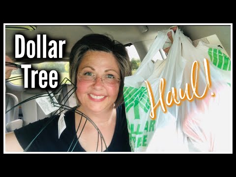 Dollar Tree Haul | NEW FALL FINDS | August 2020 | Country Girl