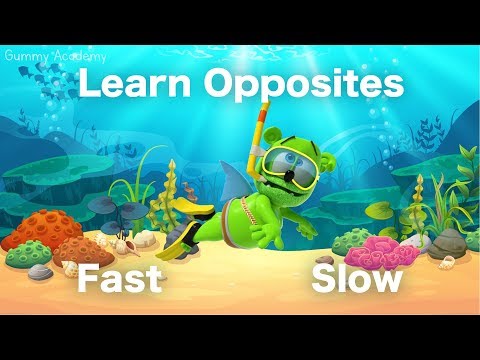 Learn OPPOSITES With Gummibär - FAST and SLOW - Gummy Shark Week 2019 - Learn English Words