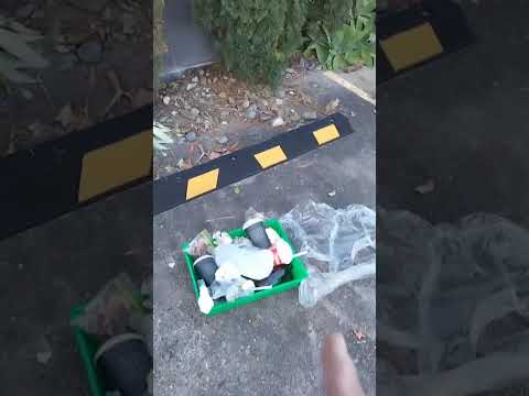 Rubbish and Mess at a carpark garden