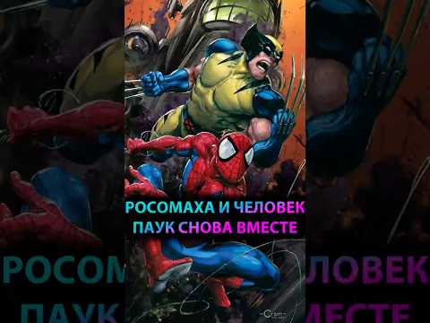 РОСОМАХА и ЧЕЛОВЕК ПАУК снова РАБОТАЮТ ВМЕСТЕ #марвел #marvel #дс #dc #spiderman #wolwerine