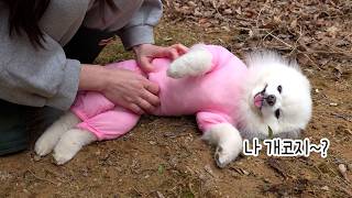 動画サムネイル