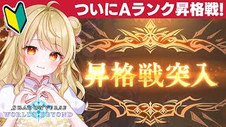 【シャドバWB】🔰きたぞA0昇格戦！スペルウィッチ勉強中【ランクマッチ】