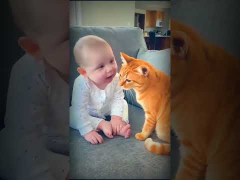 Baby and Cat Talking with Eyes 🍼🐱 #cat #vs #baby #shorts
