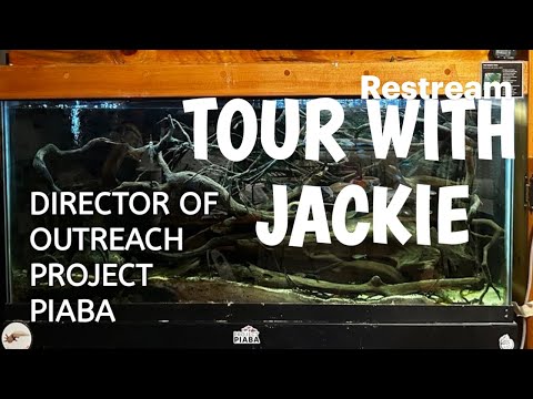 THE FISH BUZZ EPISODE 11 Turn your videos into live streams with https_//restream.io

Join us on a exciting tour with Jackie 