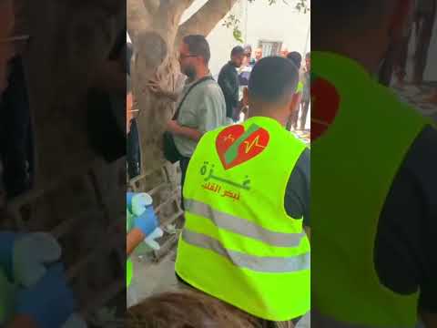Gaza hospital director killed