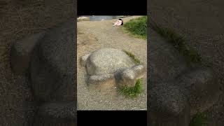 春の #鴨川デルタ。#出町の飛び石。#京都