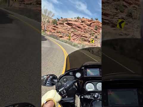 Rex & Connie - more adventures 3/27/26