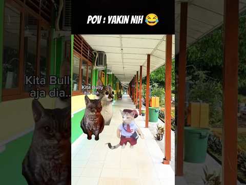 Pov : Gak Boleh yah Guys 😔 #meme #cat #kucing #animation #fypシ