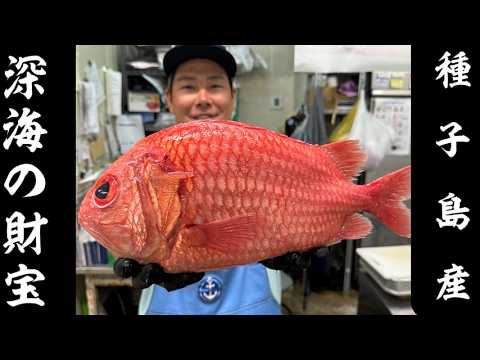 全身鎧に纏われた深海魚一口で虜になった!!(エビスダイ)