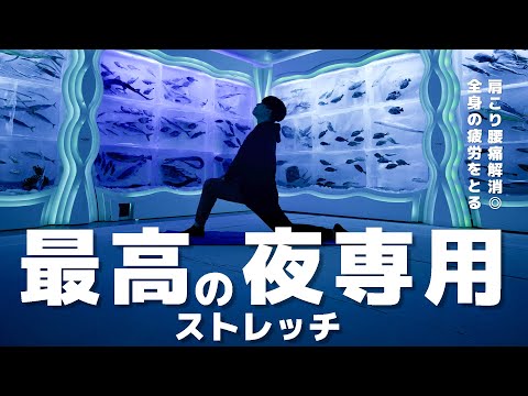 【全身がラクになる】一日の疲れを消し去る極上9分ストレッチ！【最高の夜専用 in氷の水族館（宮城県気仙沼市）】