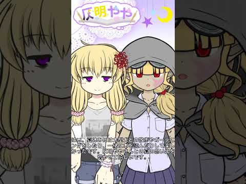 thumbnail__2gnJXT37Z8
