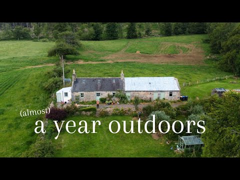 Backyard Homestead Beginnings - A Garden Tour