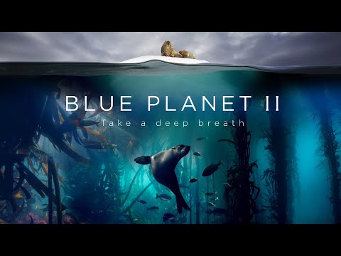 Blue Planet II : The Prequel - UCwmZiChSryoWQCZMIQezgTg