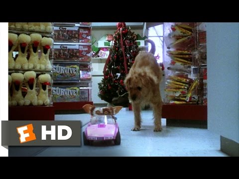 Gremlins (6/6) Movie CLIP - Gizmo to the Rescue (1984) HD - UC3gNmTGu-TTbFPpfSs5kNkg