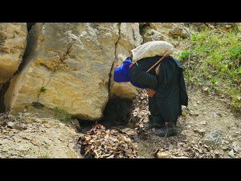 An incredible discovery in the heart of the rock.