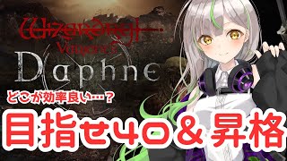 【WIZダフネ】どこが効率良い？40LV＆昇格目指して装備堀り！【Wizardry Variants Daphne】#ウィズダフネ
