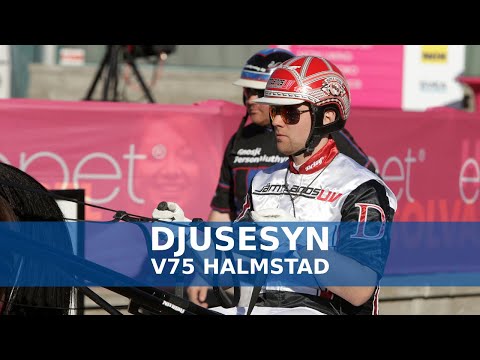 V75 tips Halmstad | Mats E Djuses V75-analys