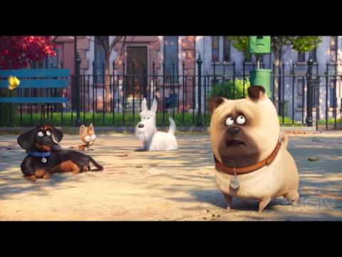 The Secret Life of Pets - Official Trailer #2 - UCKy1dAqELo0zrOtPkf0eTMw