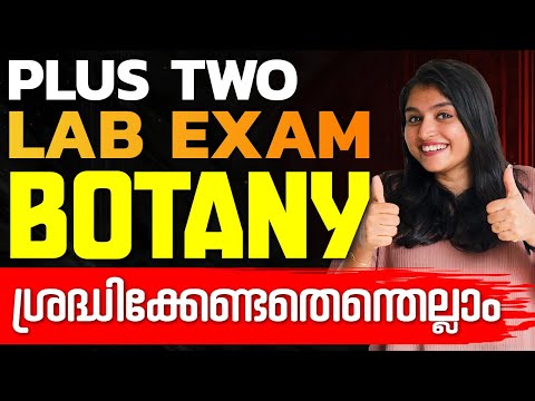 Plus Two Biology Lab Exam | Most Important Instructions | Don't Miss it | Exam Winner +2