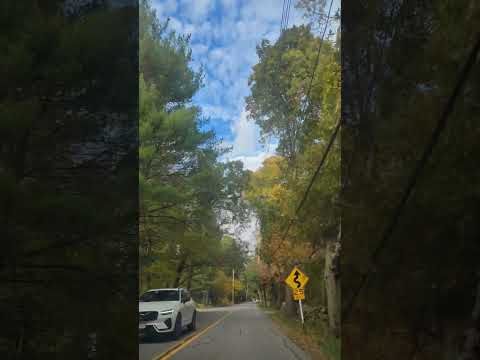 Short trip.🍁#short