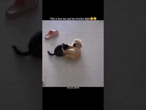 this is how me and my brother fight😆😅|||